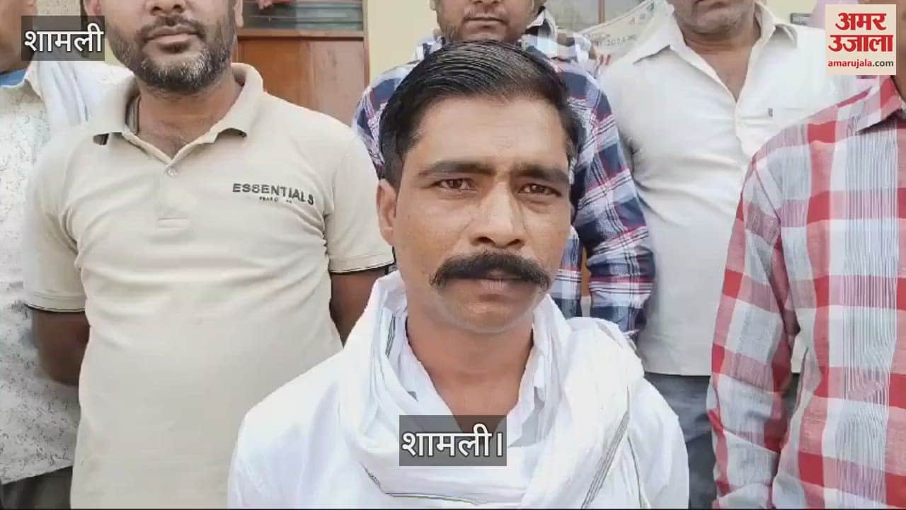 VIDEO : शामली में ऊर्जा निगम से 60 कर्मचारियों को हटाने का विरोध, धरने पर बैठे विद्युत कर्मी