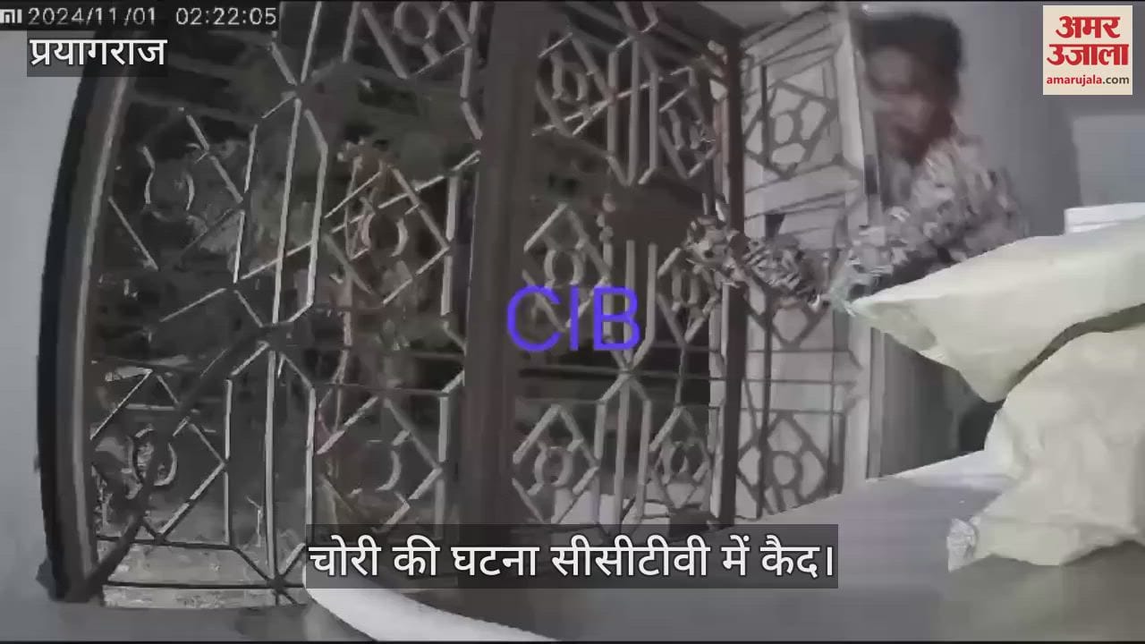 VIDEO : Thieves stole goods worth lakhs by entering dairy farm, incident captured in CCTV