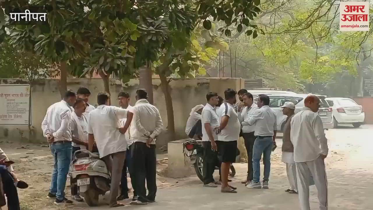 VIDEO : Two real brothers died after being hit by a train