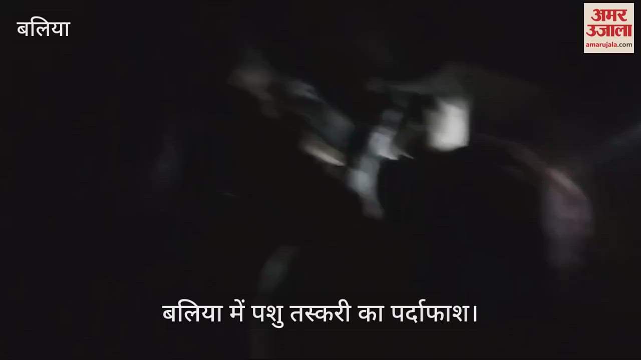 VIDEO : Questions raised on police system in Ballia pickup full of animals collided with the pole smuggler absconded