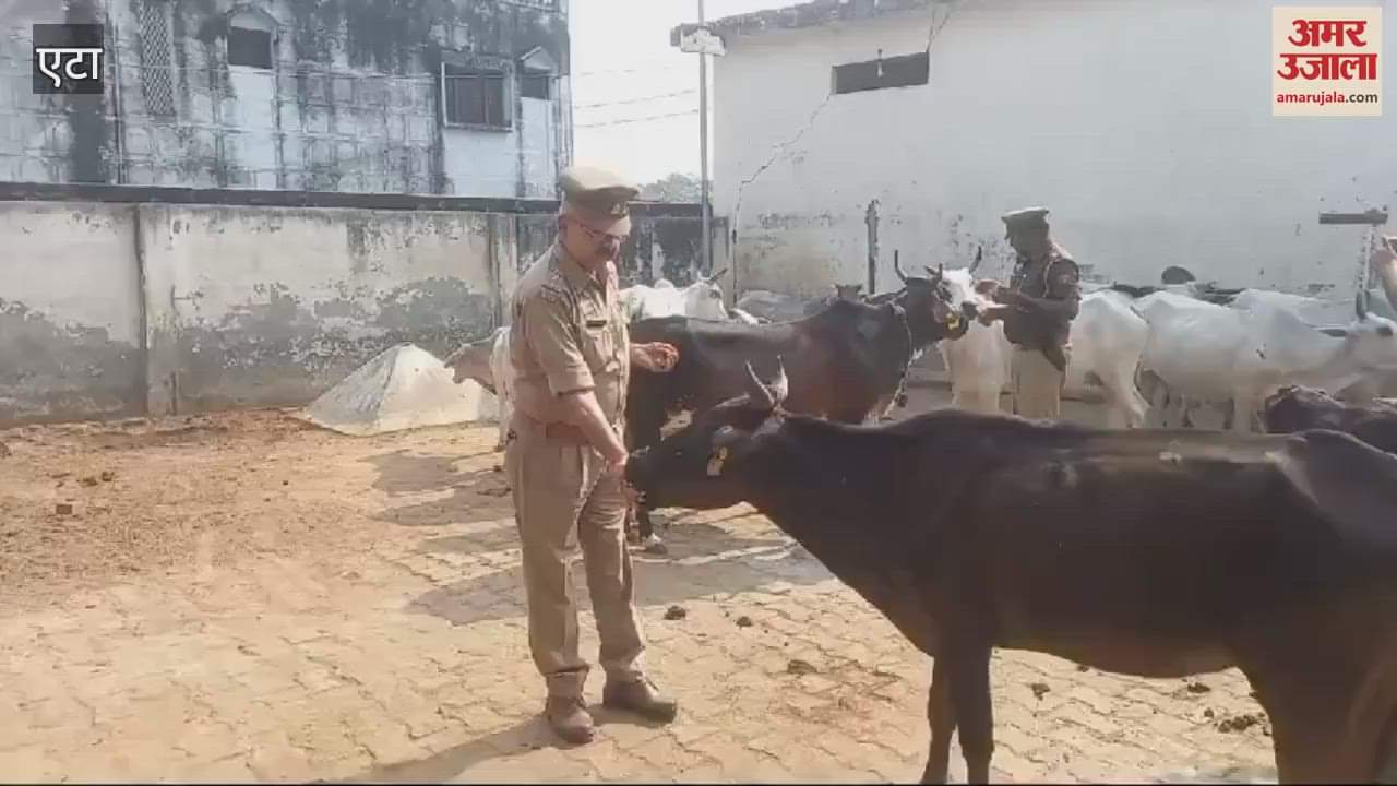 VIDEO : गोवर्धन पूजा पर पुलिस ने ऐसे की गौ माता की सेवा, खिलाया गया गुड़-चना