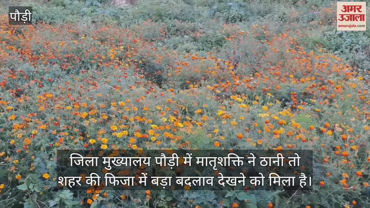 VIDEO : Flowers bloom in the gardens prepared by women Fulwari in Pauri Garhwal Uttarakhand News in hindi