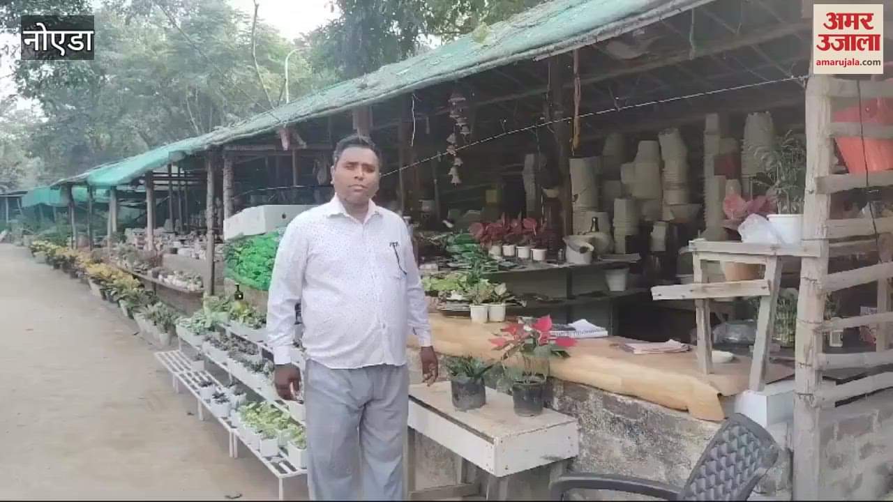 VIDEO : Demand for plants providing pure air increased amid increasing pollution