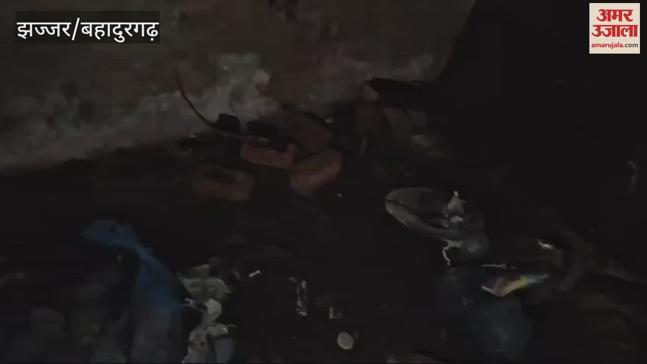 VIDEO : बहादुरगढ़ के छोटूराम नगर में एक मकान में आग लगने से दंपति की मौत