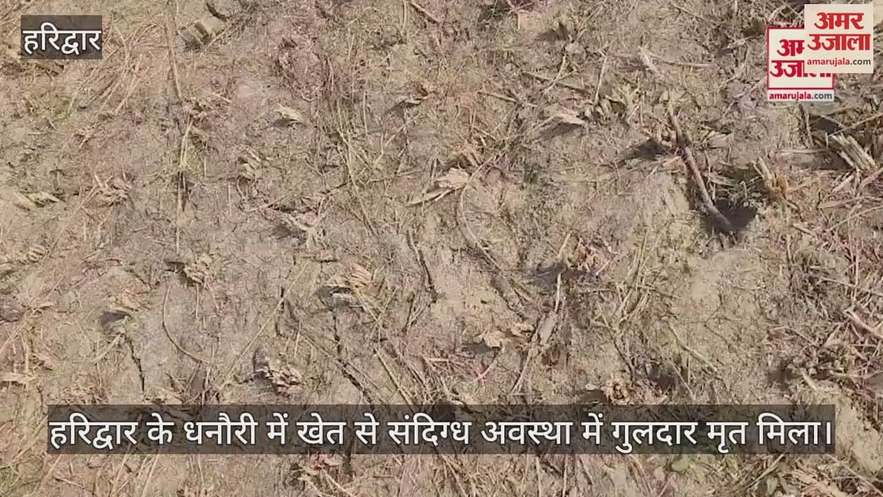 VIDEO : Leopard found dead in field near cremation ground in Dhanori Haridwar