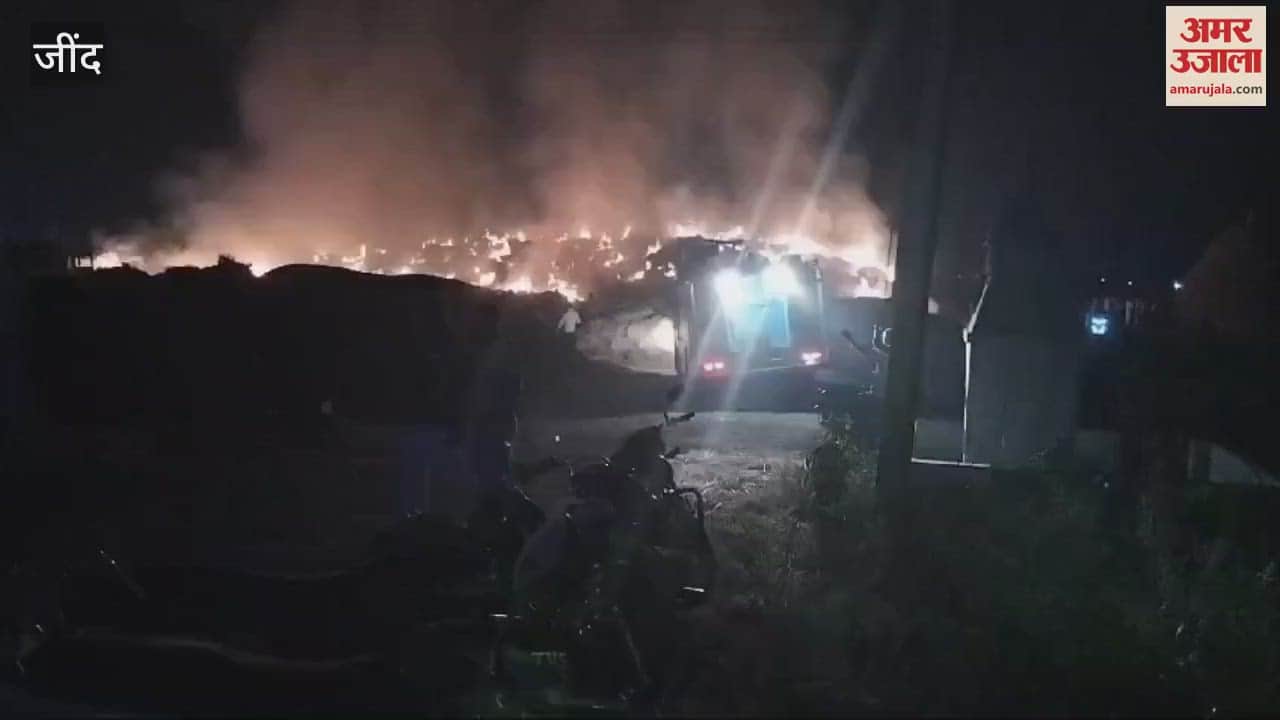 VIDEO : जींद के मनोहरपुर गांव में धान की पराली में लगी आग, लाखों का नुकसान