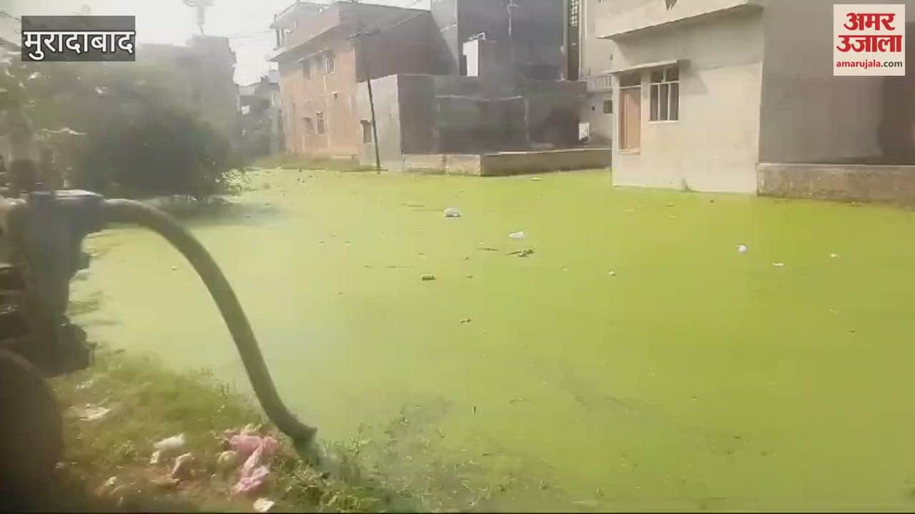 VIDEO : Chaos in path of faith, heaps of garbage on Chhath Ghat, anger against Moradabad Municipal Corporation