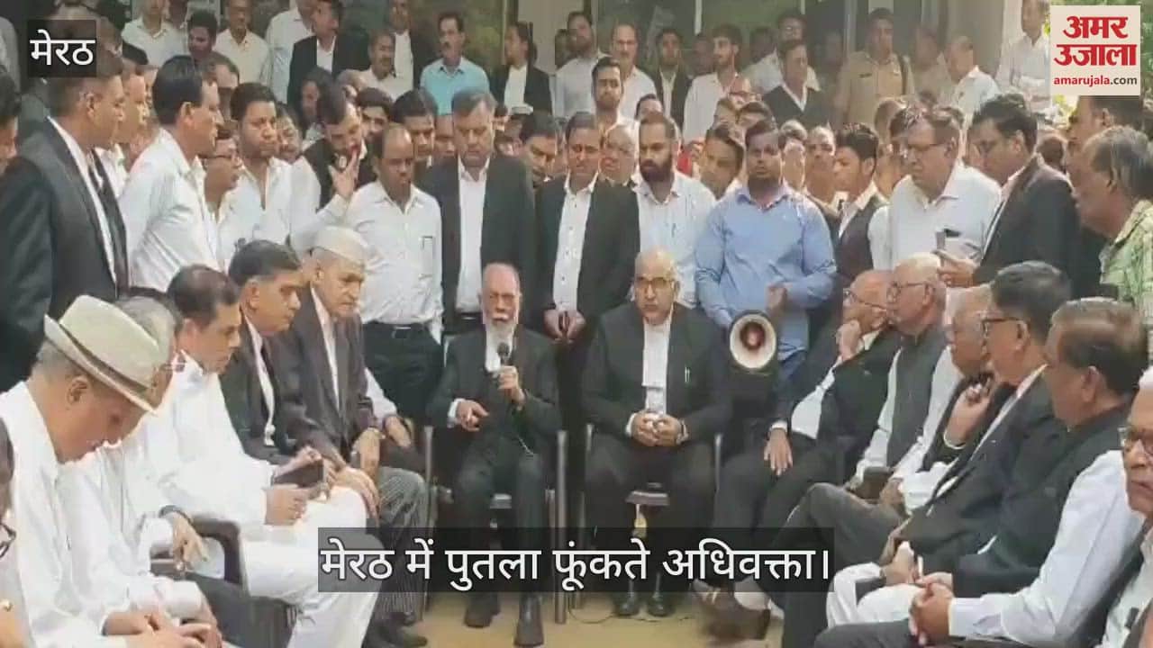 VIDEO : Lawyers burnt an effigy in Meerut