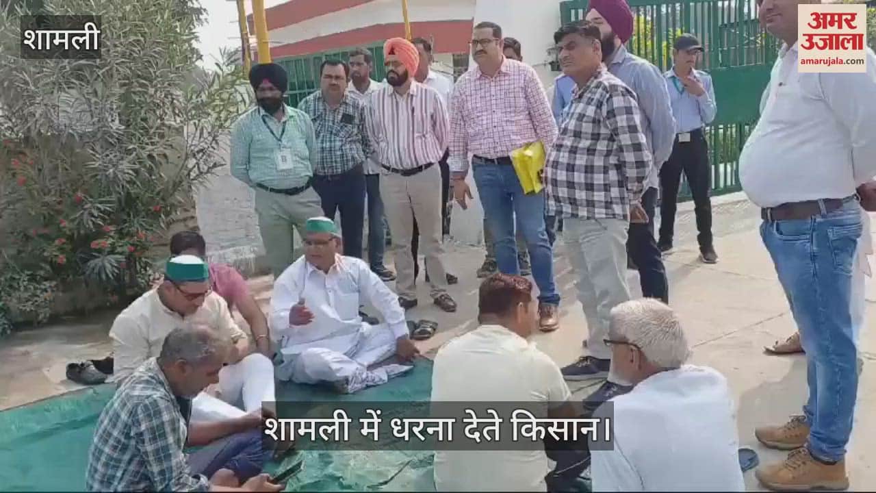 VIDEO : Farmers sit on dharna at Wool Sugar Mill in Shamli demanding payment