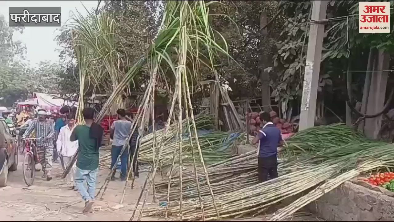 VIDEO : People shopping for Chhath Puja in Faridabad