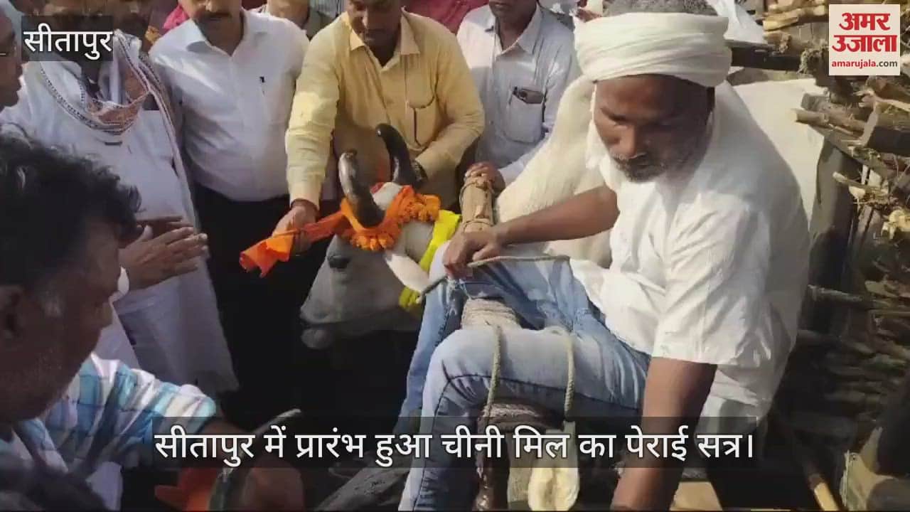 VIDEO : सीतापुर में विधायक ने बैलगाड़ी संग बैलों की पूजा की, शुरू हुआ चीनी मिल का पेराई सत्र