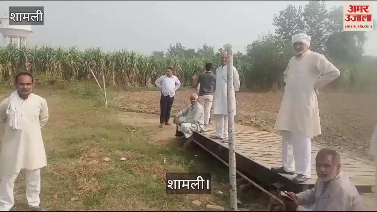 VIDEO : Angry farmers uprooted the forks in Bhainswal village for not allocating a purchase center to Shamli mill