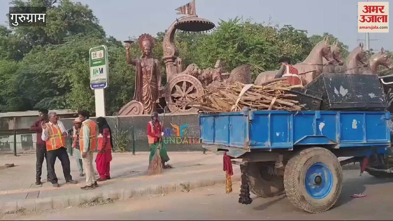 VIDEO : Saplings were planted after removing encroachment from Rajiv Chowk gurugram