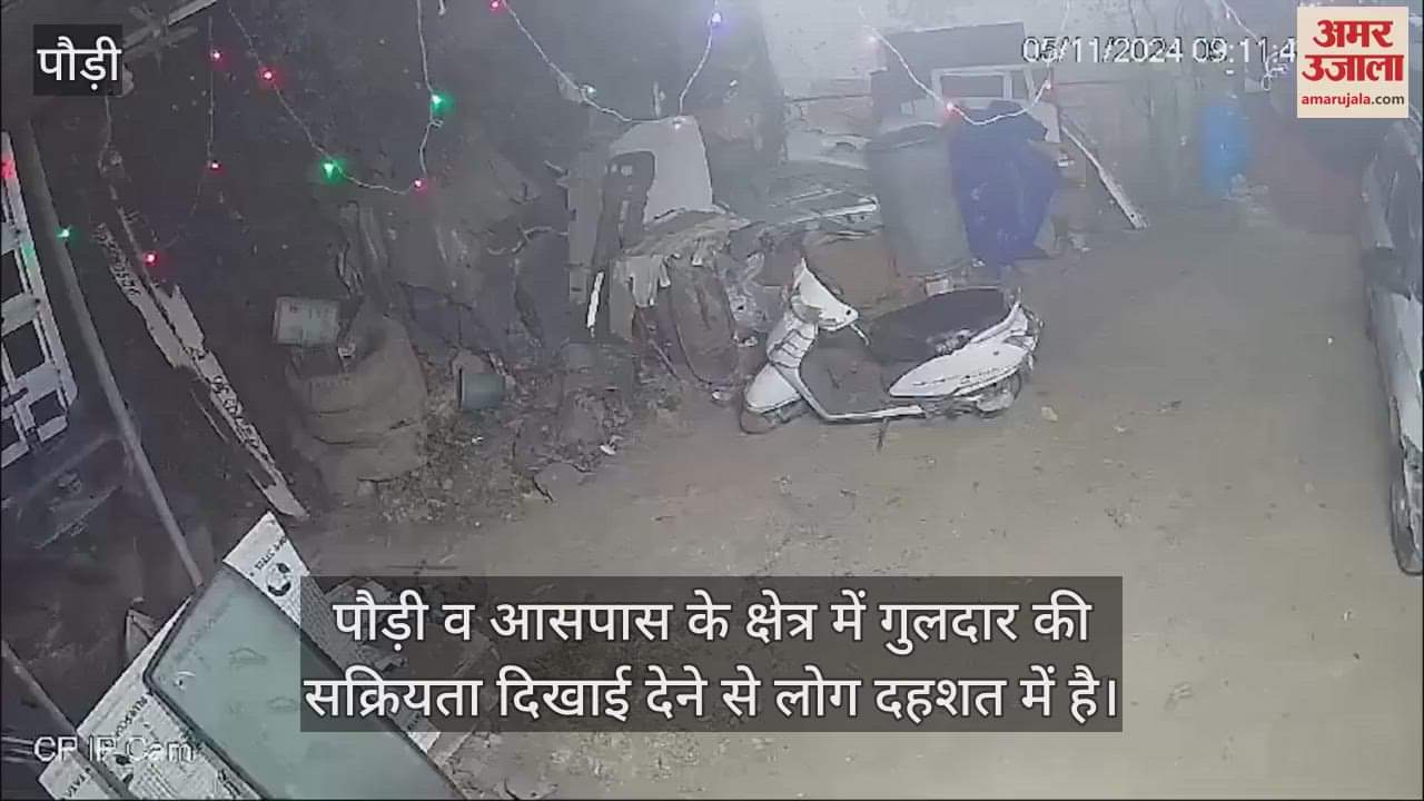 VIDEO : People in panic due to leopard's activity in Pauri, movement captured in CCTV camera