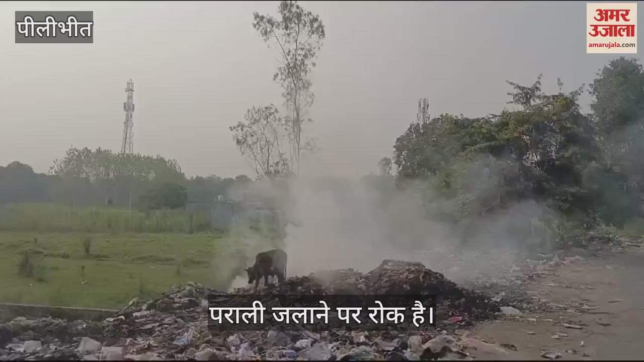 VIDEO : पराली पर जलाने रोक... पीलीभीत में सड़कों के किनारे चल रहा नगर पालिका का कूड़ा