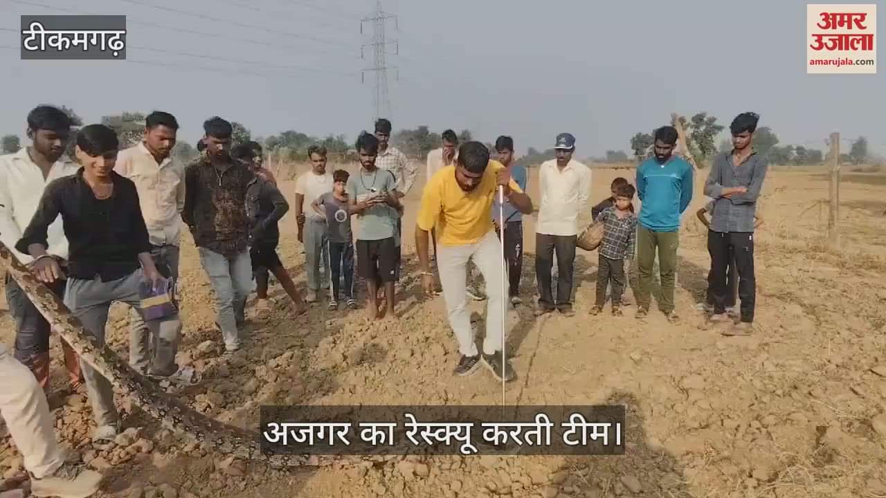 Tikamgarh News: The python was roaming in the farmer's field