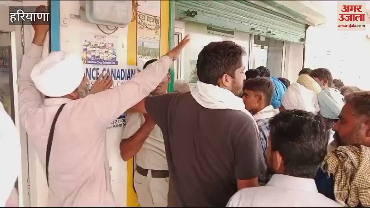 VIDEO : Farmers had to struggle for fertilizer in Dabwali