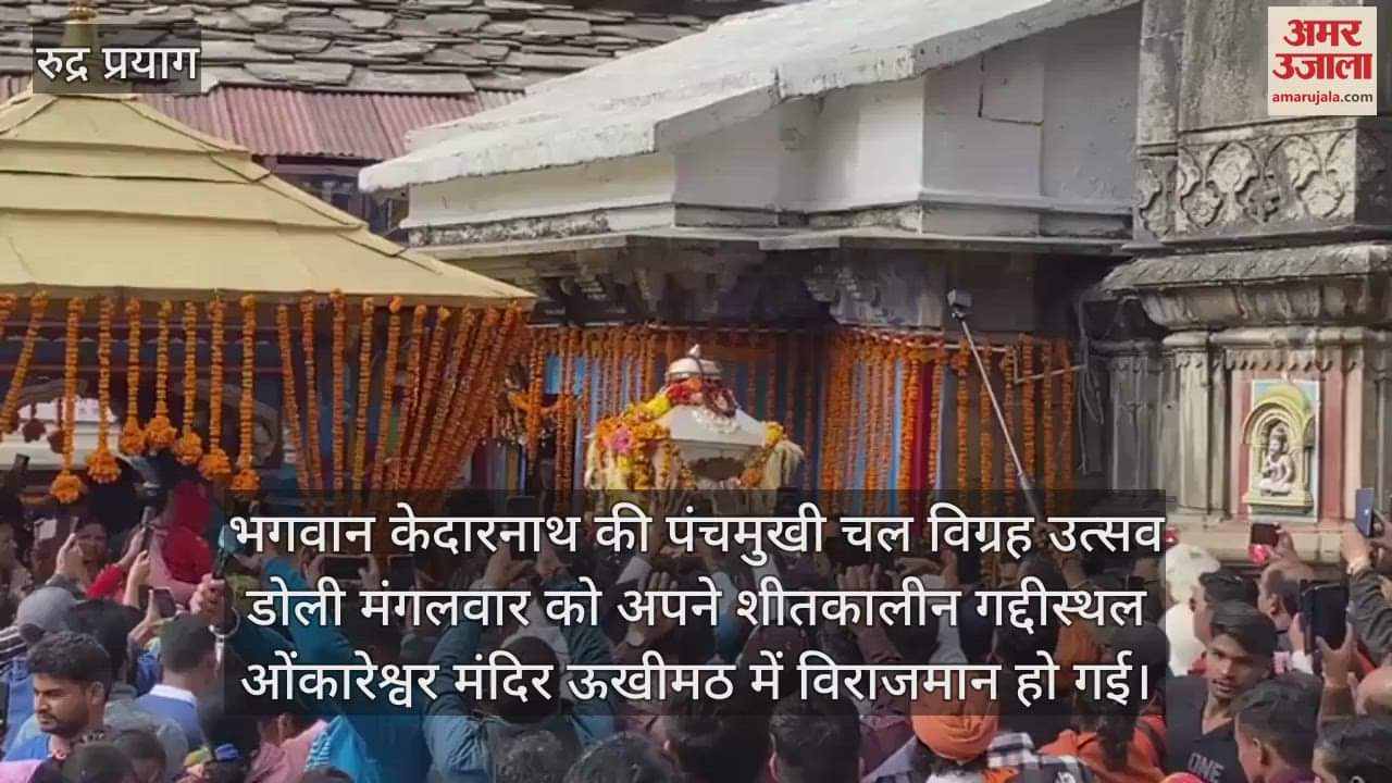VIDEO : Baba Kedarnath palanquin places in Omkareshwar temple Ukhimath for Winter Puja