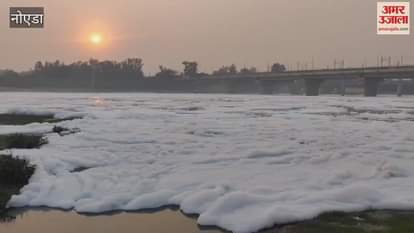 VIDEO : Poison mixed in Yamuna in Noida how will Chhath festival be celebrated