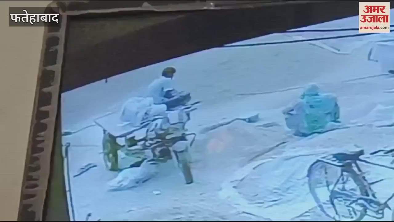 VIDEO : किसान की जेब में हुआ धमाका, पोटाश पाउडर फटने से झुलसा