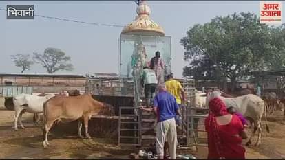 VIDEO : भिवानी में गोपाष्टमी पर श्रीगोशाला ट्रस्ट में किया गो माता पूजन