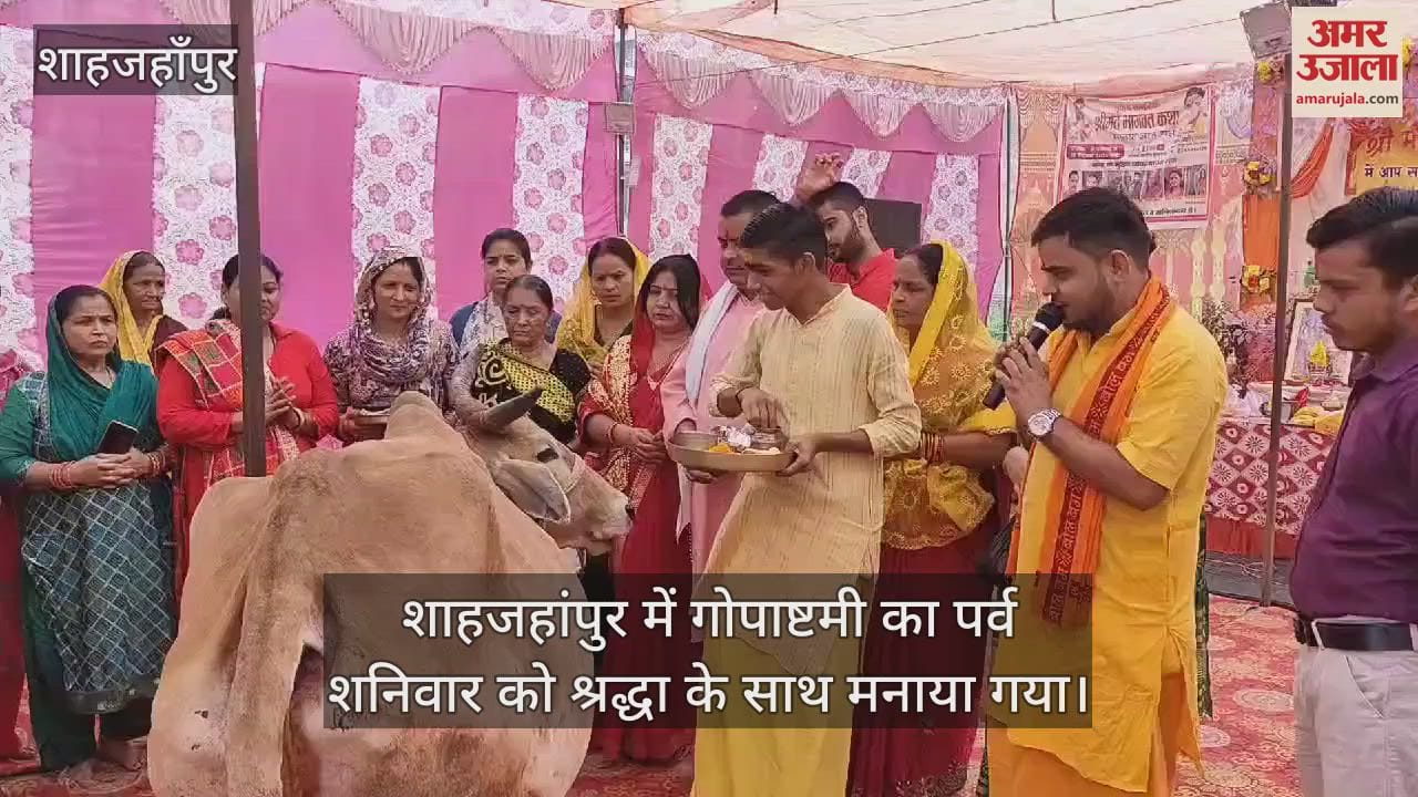 VIDEO : शाहजहांपुर में गोपाष्टमी पर गायों का किया पूजन, लोगों ने की सुख-समृद्धि की कामना