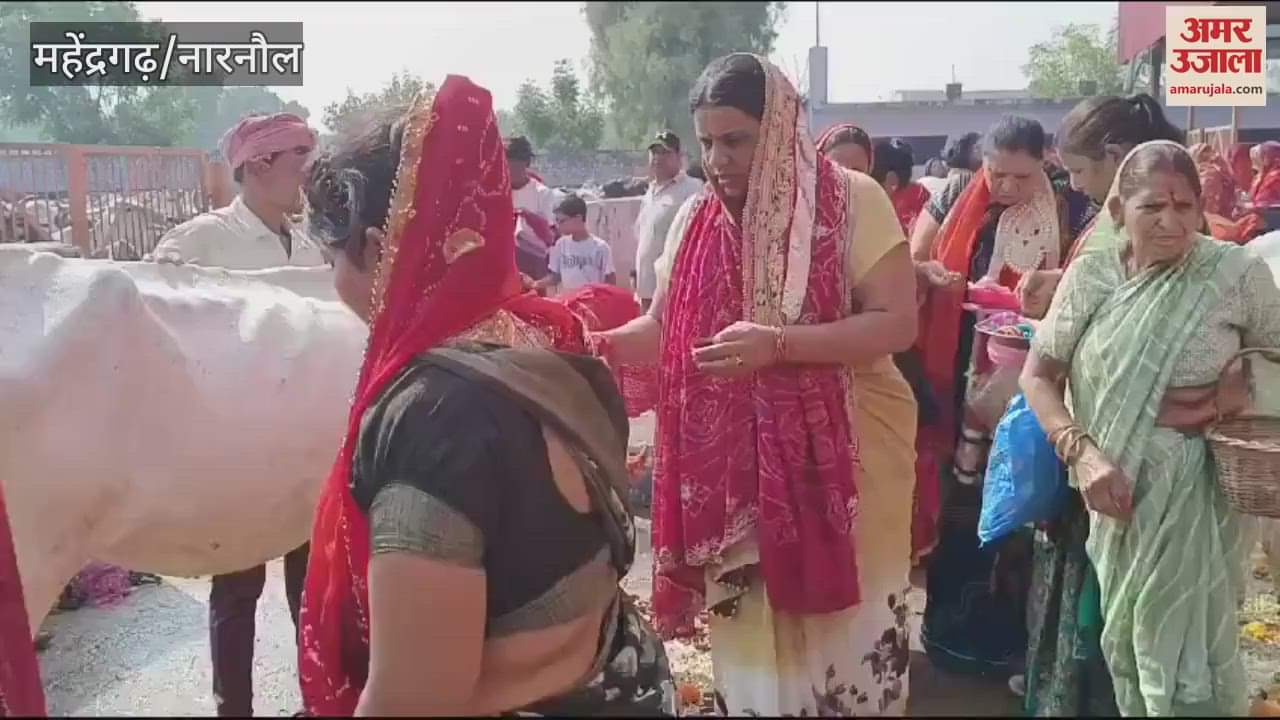 VIDEO : नारनौल में गोपाष्टमी पर्व पर महिलाओं ने गोमाता का किया पूजन