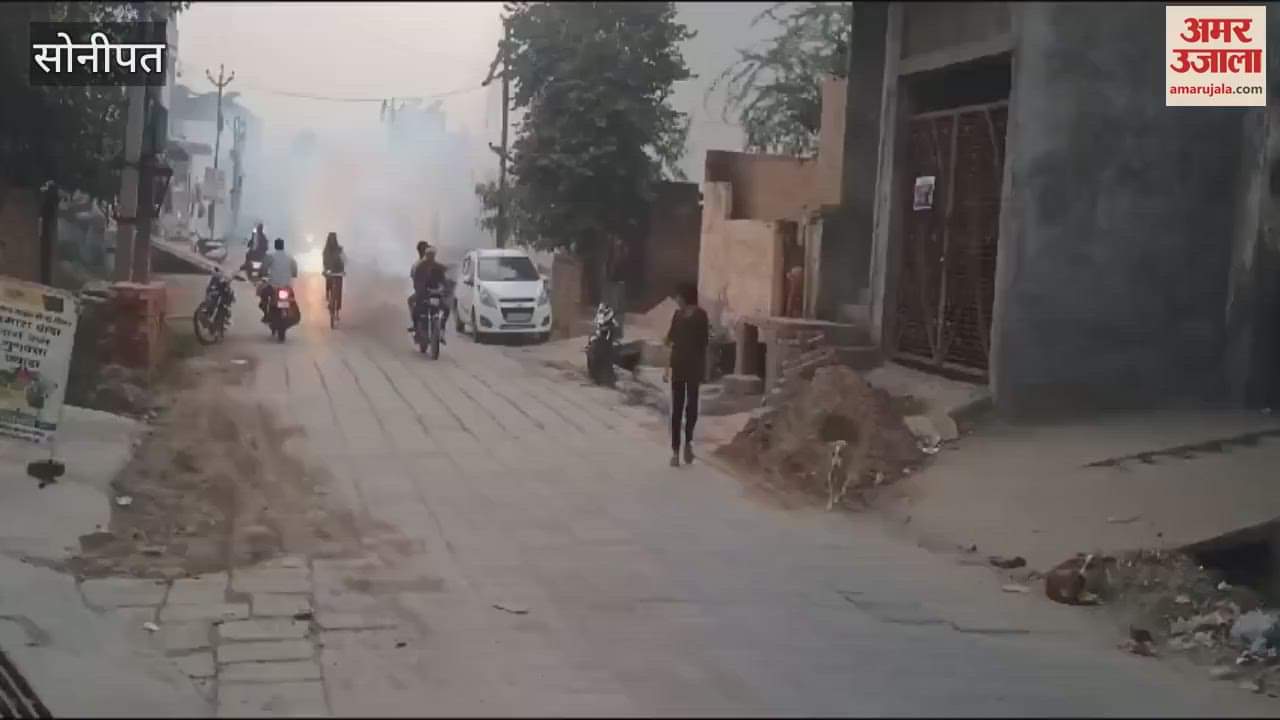 VIDEO : सोनीपत में अब तक 340 डेंगू संक्रमित मिल चुके, 24 घंटे के अंदर कराई जा रही फॉगिंग