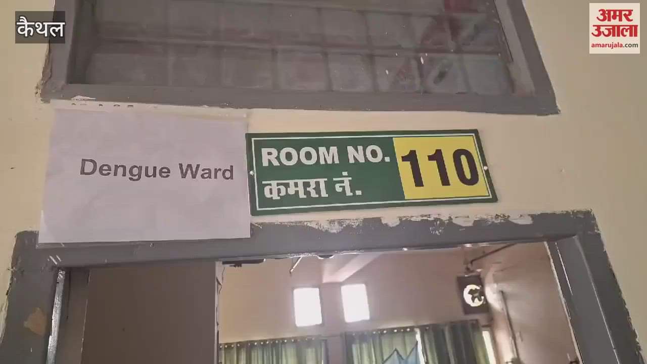 VIDEO : कैथल में अब डेंगू का प्रकोप लगातार बढ़ रहा, अब तक 40 संक्रमित केस आ चुके