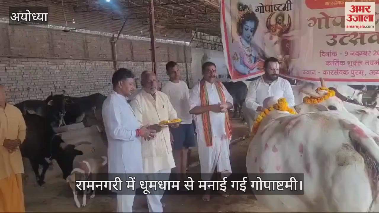 VIDEO : अयोध्या में धूमधाम से मनाई गई गोपाष्टमी, शृंगार करके गुड़ और पुड़ियों का लगाया भोग