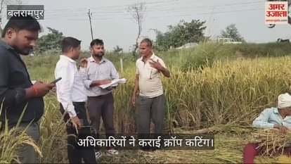 VIDEO : बलरामपुर में अधिकारियों ने कराई क्रॉप कटिंग, एक बिस्वा में निकला मात्र 18.5 किग्रा धान