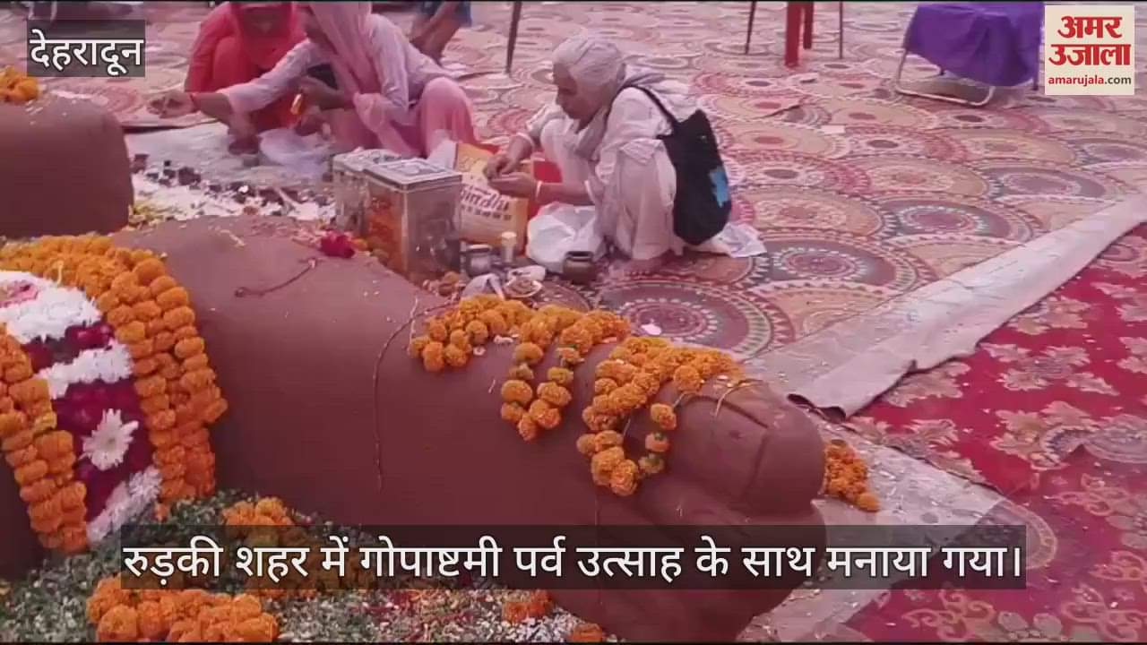 VIDEO : Gopasthami festival devotees Crowds gathered to see 31 feet long statue of Lord Govardhan made from cow dung