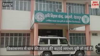 VIDEO : To rot stump and stem farmers should plough field by adding five kilograms of urea per bigha: AK Sharma