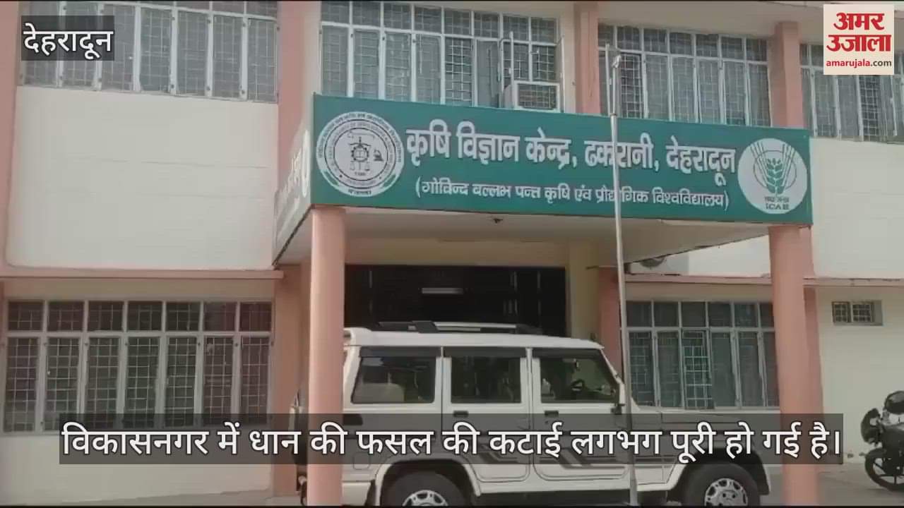 VIDEO : To rot stump and stem farmers should plough field by adding five kilograms of urea per bigha: AK Sharma