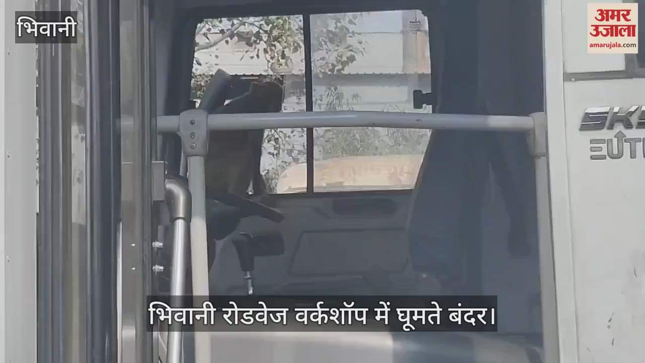 VIDEO : बंदरों से रोडवेज कर्मचारी परेशान, बसों को भी पहुंचा रहे नुकसान