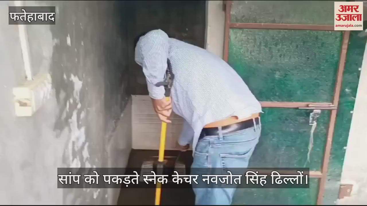 VIDEO : गोदाम के शौचालय से निकला रेड सैंड बोआ सांप