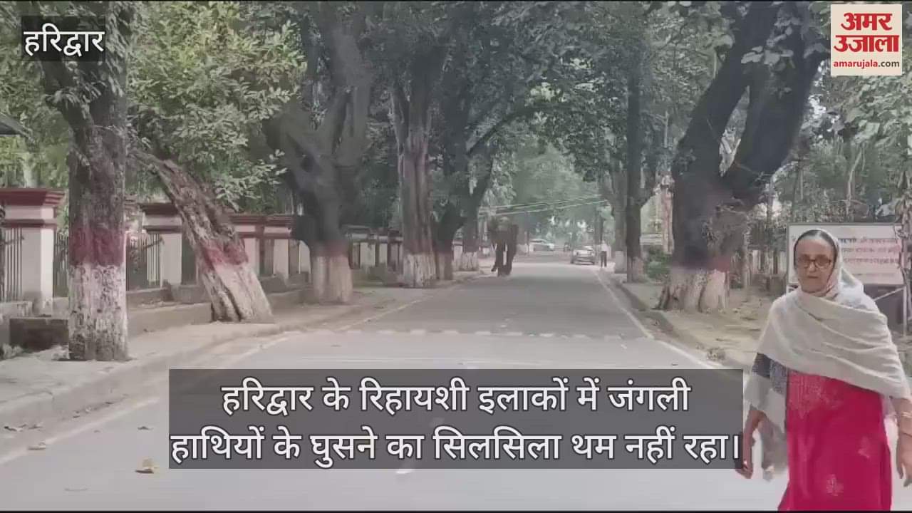 VIDEO : Elephant entered Gurukul Kangri University campus, people Panic