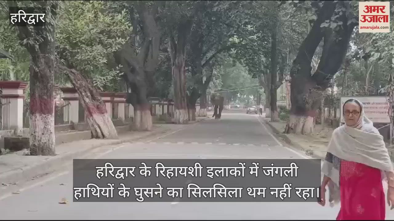 VIDEO : Elephant entered Gurukul Kangri University campus, people Panic