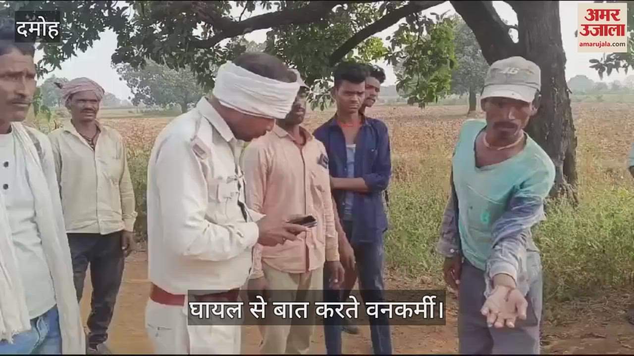 Damoh Leopard attacked a farmer who was watering his field