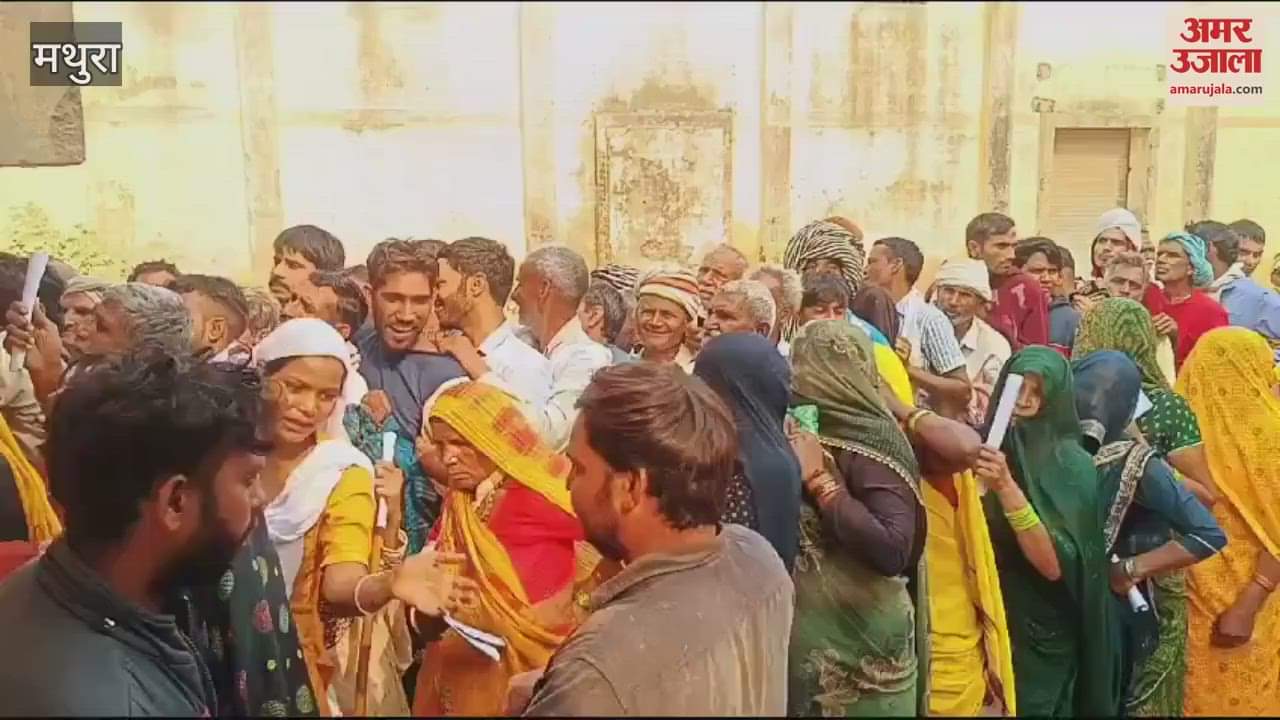 VIDEO : मथुरा के छाता में डीएपी की किल्लत, आधी रात से ही लाइनों में लगे किसान
