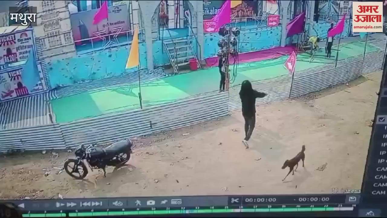 VIDEO : मेले में चौथ मांगने का आरोप, तमंचा सहित आरोपी गिरफ्तार