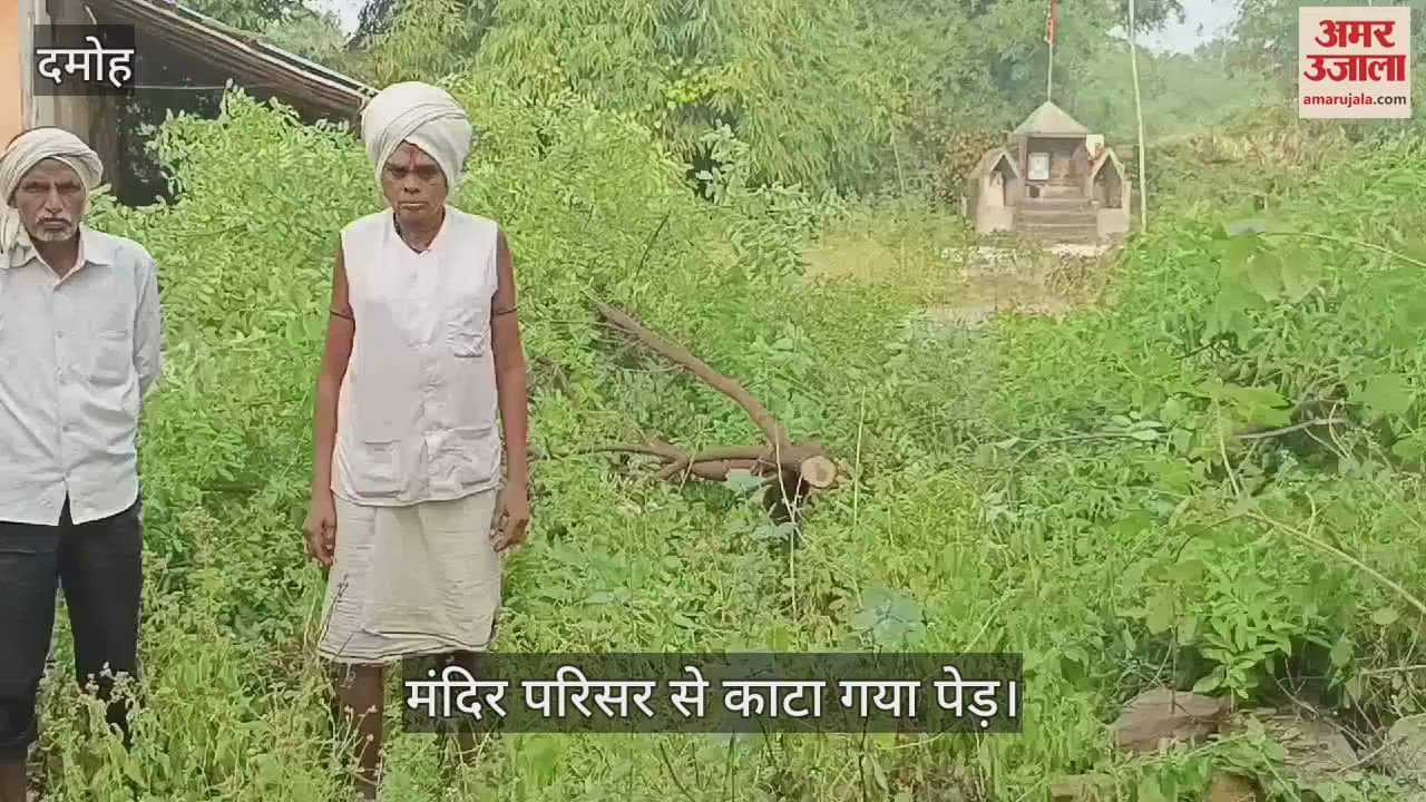 Damoh The forest mafia cut down the sandalwood tree planted in the temple premises
