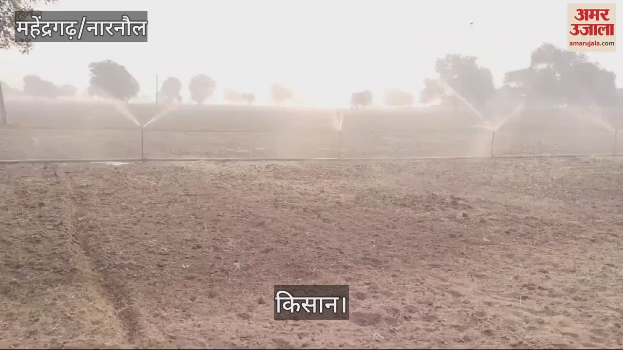 VIDEO : महेंद्रगढ़ में गेहूं बिजाई के लिए मौसम हुआ अनुकूल, दस नवंबर से किसान शुरू कर सकते हैं बिजाई