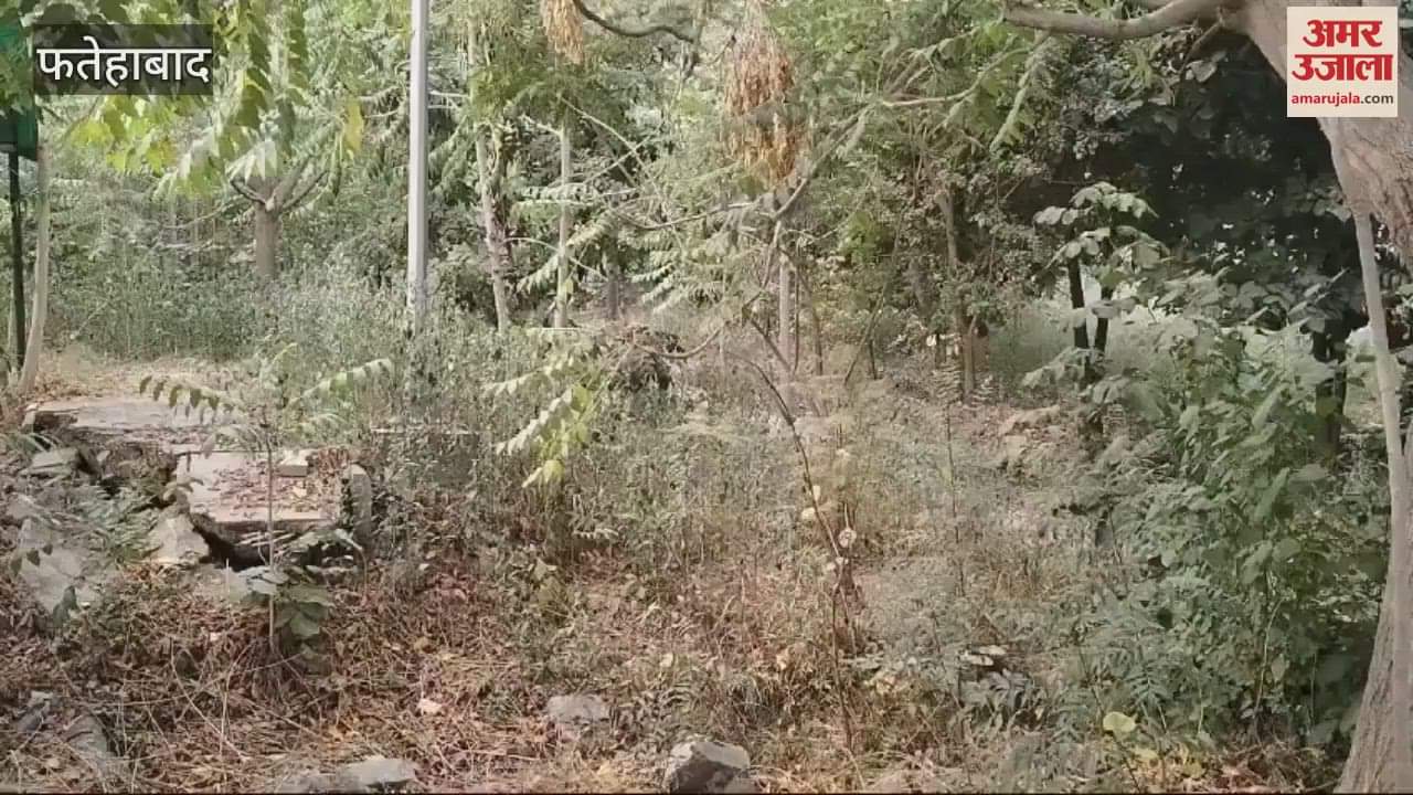 VIDEO : फतेहाबाद में पपीहा और हुडा सेक्टर की ग्रीन बेल्ट को छोड़ सभी पार्क संस्थाओं को आखिरकार दिए गोद