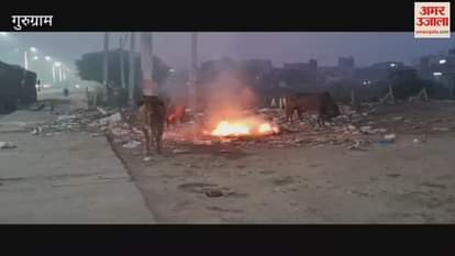 VIDEO : air quality of Gurugram is bad yet garbage is being burnt