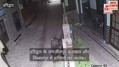 VIDEO : Elephants are roaming in front of houses in Haridwar their movement was captured in CCTV