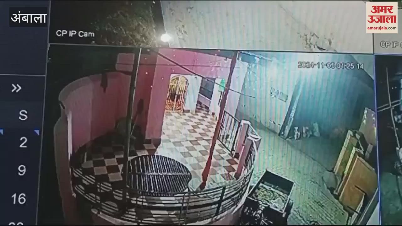 VIDEO : Terror of thieves in Barara area of Ambala, targeting temples