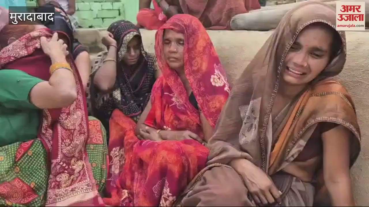 VIDEO : laborer died after being hit by a fallen electric pole while cutting a tree, police is investigating