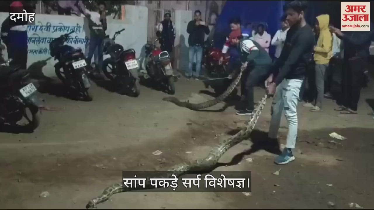 Damoh People were left breathless after seeing three python snakes
