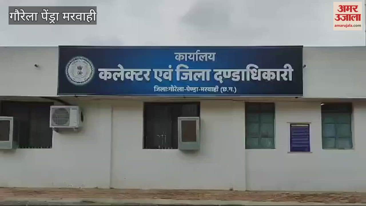 VIDEO : GPM Collector Leena Kamlesh Mandavi inspected the departments